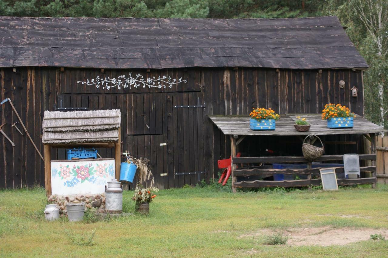 Villa Zagroda Zalipie Gostynin Exterior foto