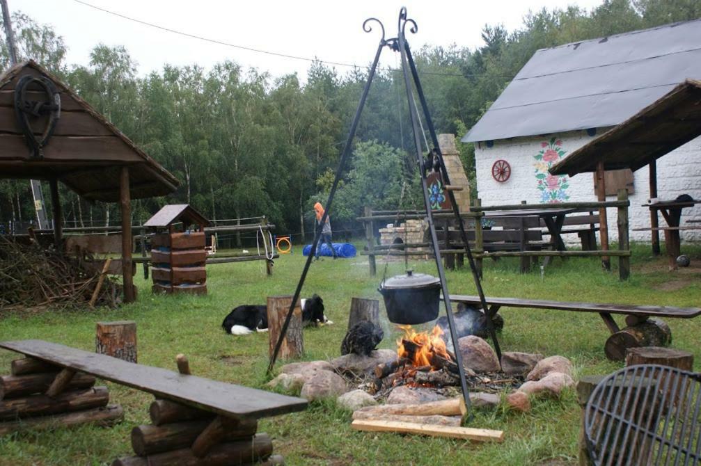 Zagroda Zalipie Gostynin Exterior foto