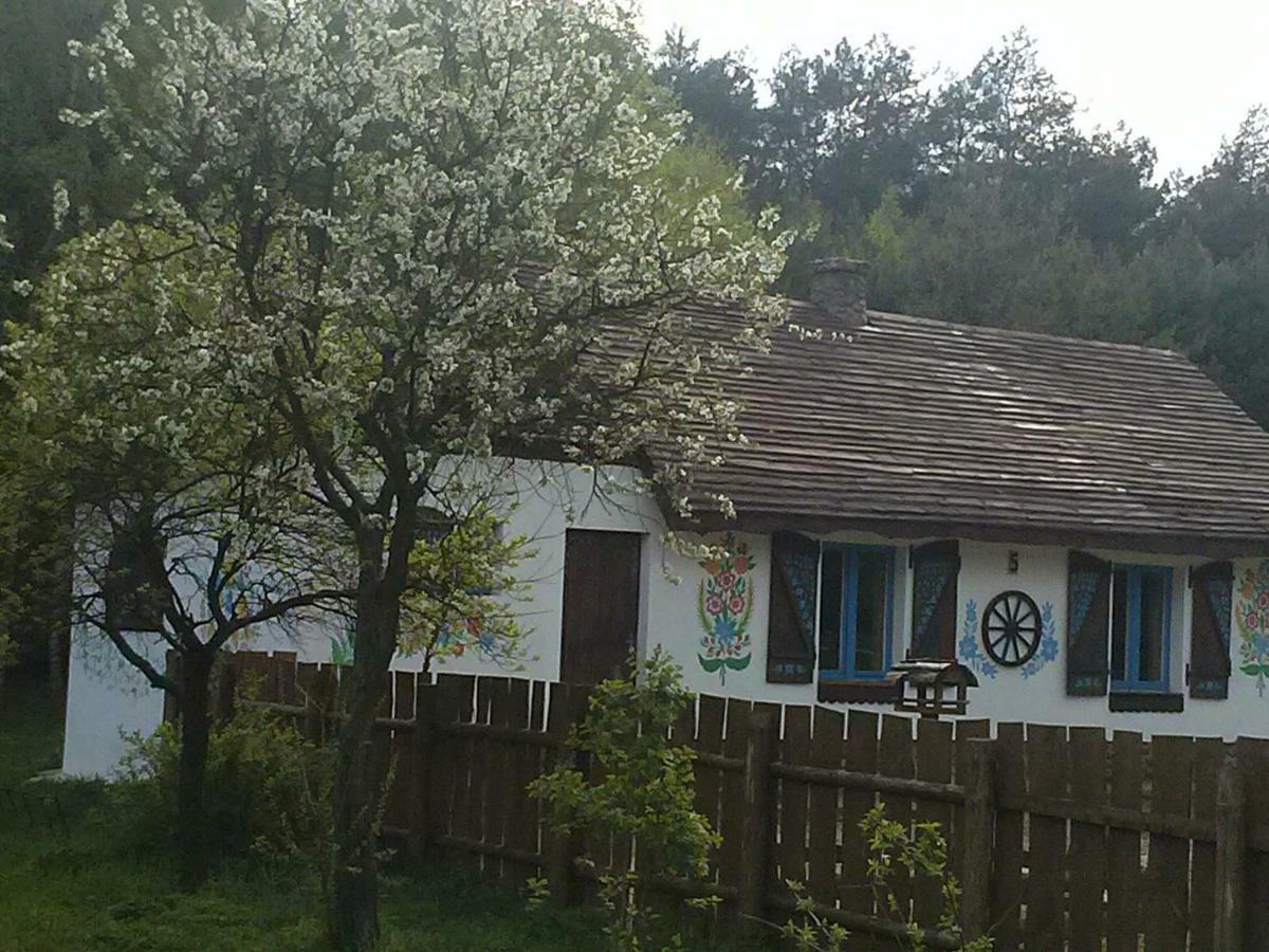 Zagroda Zalipie Gostynin Exterior foto