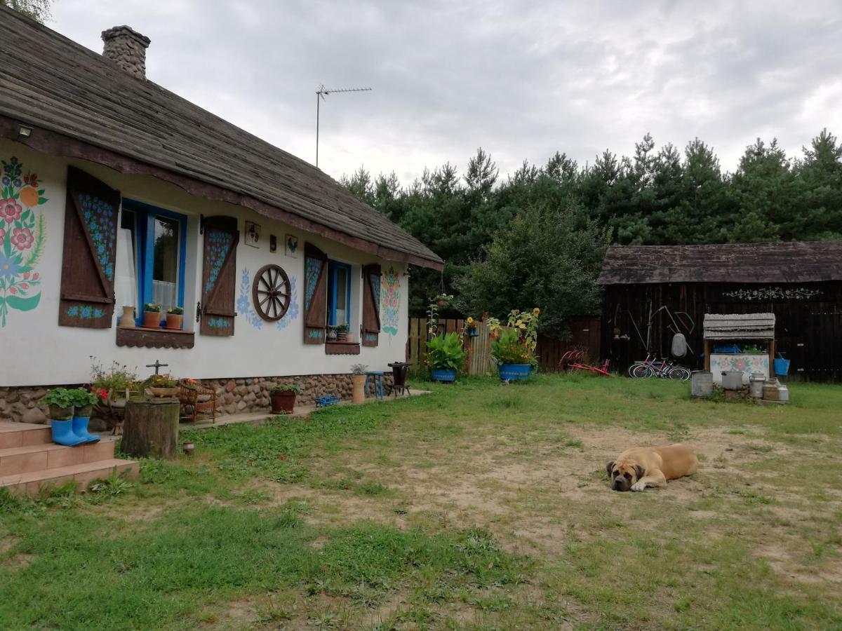 Villa Zagroda Zalipie Gostynin Exterior foto