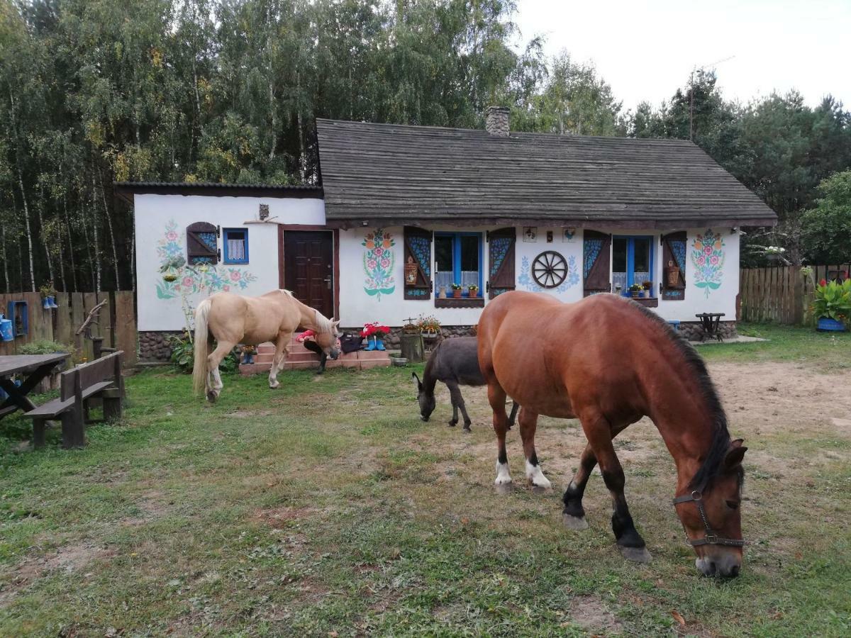 Villa Zagroda Zalipie Gostynin Exterior foto