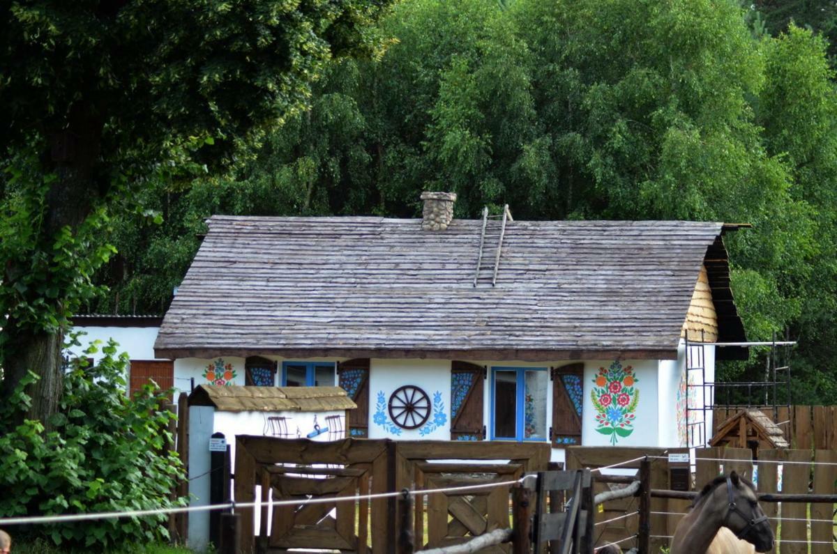 Villa Zagroda Zalipie Gostynin Exterior foto